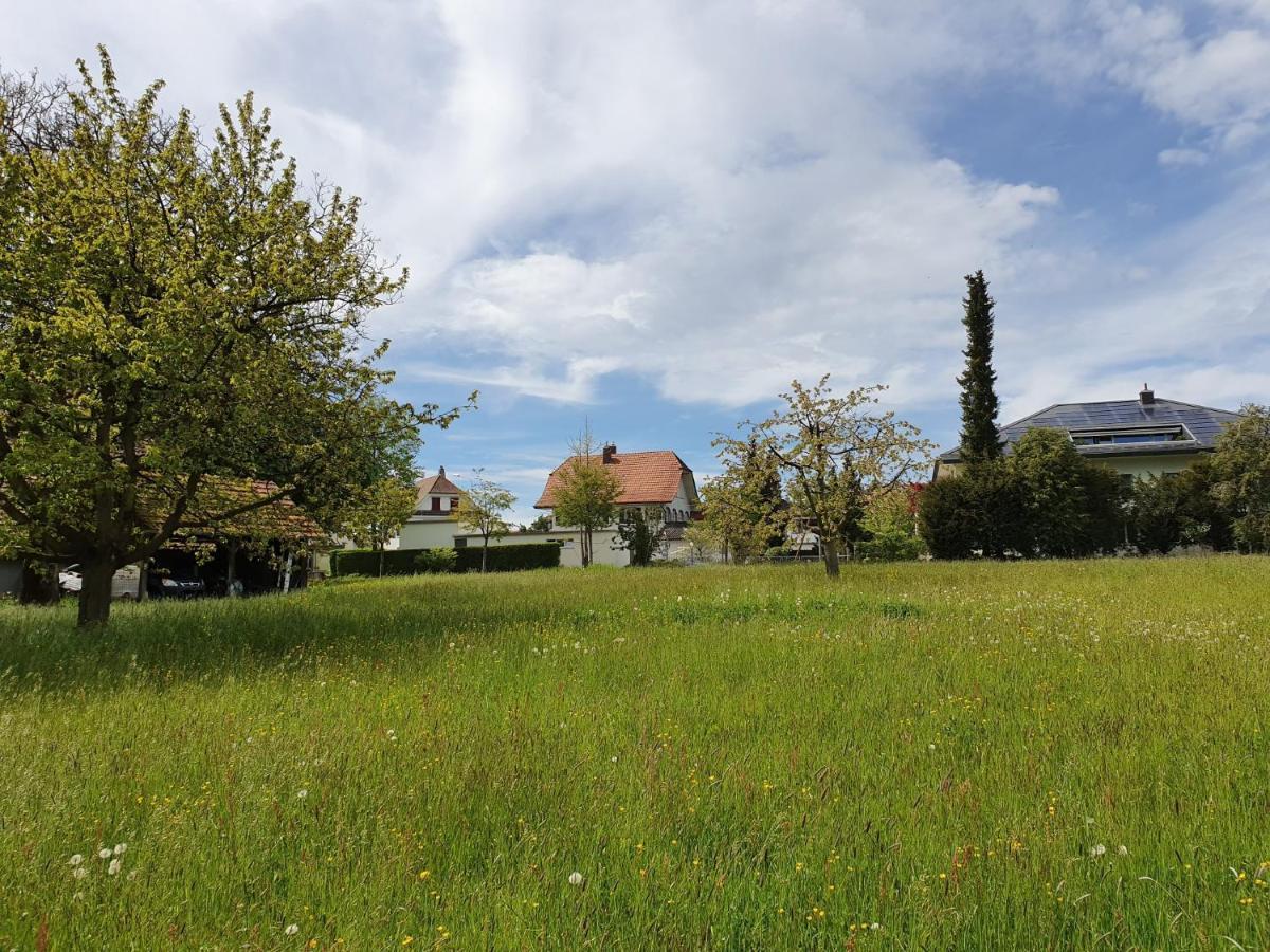 Appartamento Bed N Bureau Roggwil Roggwil  Esterno foto